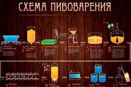 теория пивоварения
